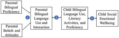 Harmonious bilingual experience and child wellbeing: a conceptual framework